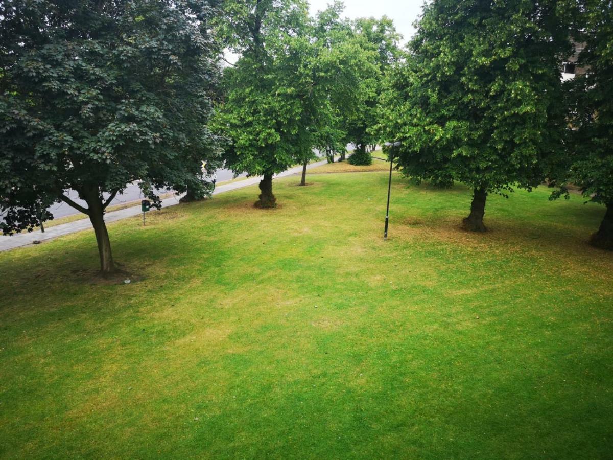 Double Bed Room @Clapham London Eksteriør billede